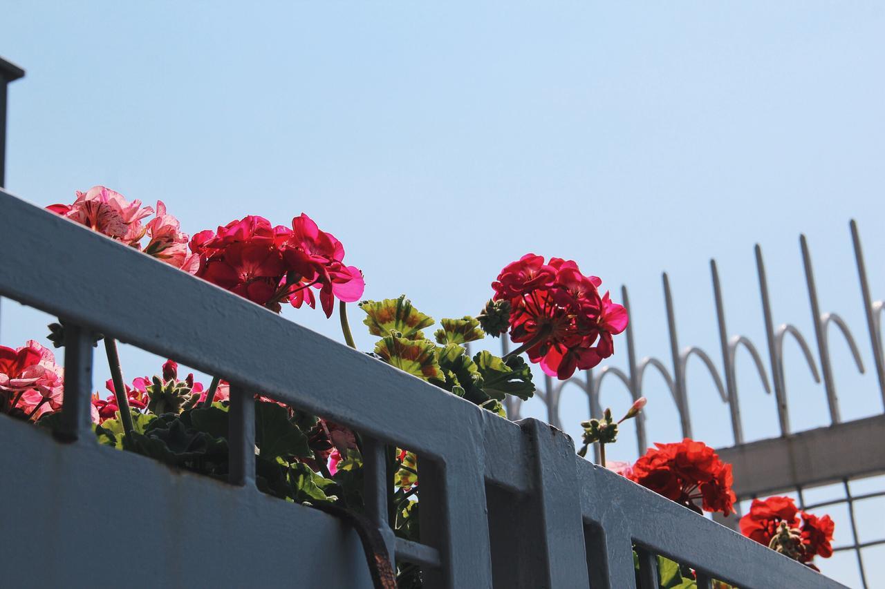 Santa Clara Bed & Breakfast Napoli Bagian luar foto